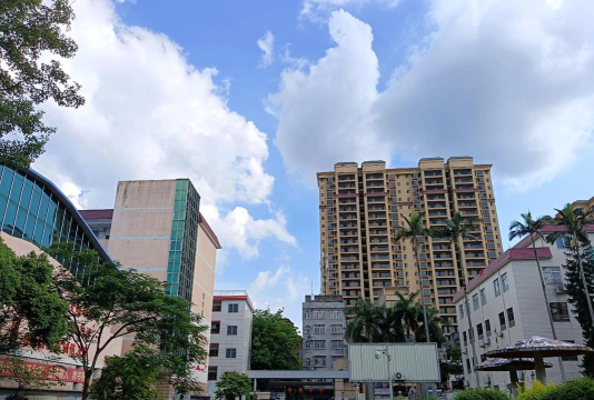 桂城街道平洲一中