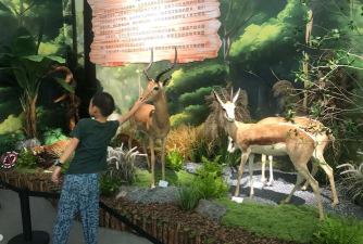 佛山市顺德区容桂柏悦湾幼儿园