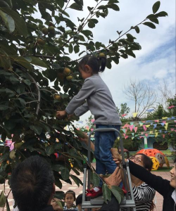 肥城市商业局幼儿园