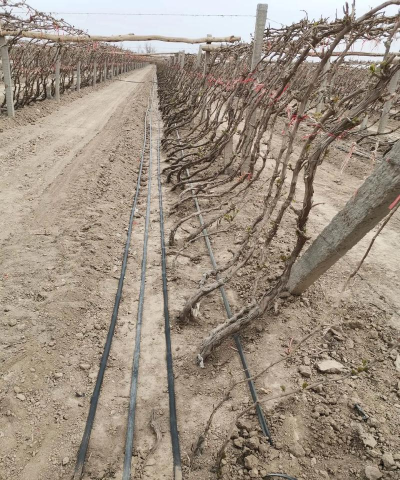 哈密市二堡镇第二中学