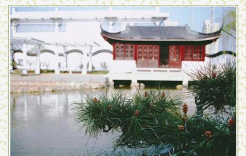 南川东城办南师附校