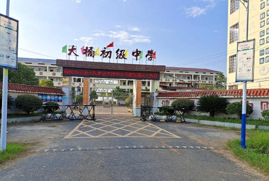 内乡县大桥乡大桥初中