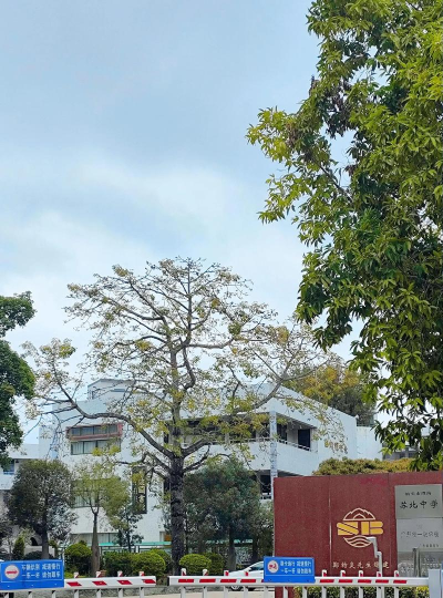 澄海区苏北中学