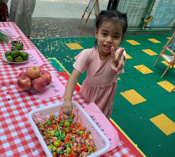 阳江市江城区贝贝佳幼儿园