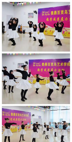 茶陵县美燕百灵鸟艺术培训学校有限公司