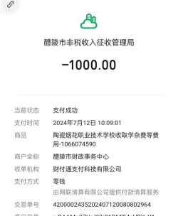 醴陵陶瓷烟花职业技术学校