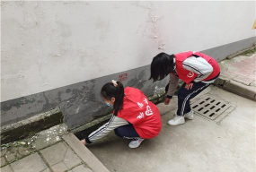 四川省成都市大面中学