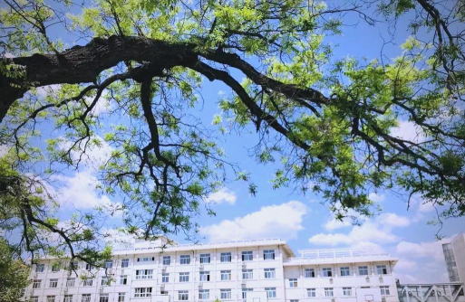 北京市房山区房山中学