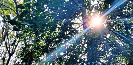 四川省成都市第七中学