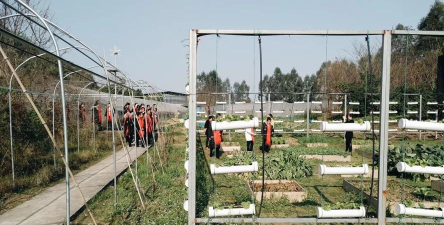 桂林市灵川梧桐墅幼儿园