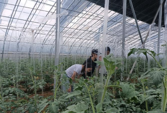 即墨市移风店镇大坝村幼儿村