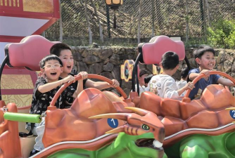 朝阳新村第二小学