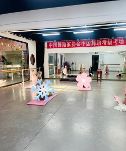 聊城江北水城旅游度假区瑞芭舞蹈培训学校有限公司