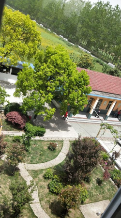 靖江市开发区合兴小学