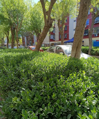 牡丹江市爱民区北安中心校