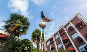 上海市普陀区洵阳路小学