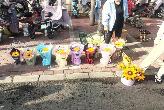 武汉市江夏区段岭庙中学