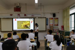 江门市蓬江区杜阮镇楼山初级中学