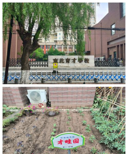 沈阳市和平区和平大街第三小学