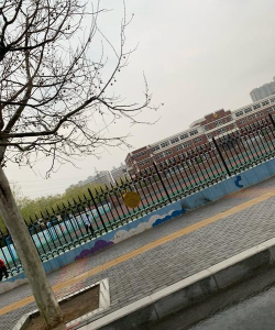 大连市甘井子区奥林小学