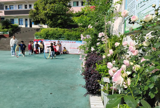 安阳县安丰乡阳光学校