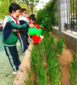 石家庄市富强小学