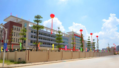 普宁陈宝文学校