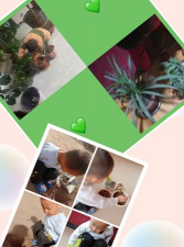 宁海县胡陈乡中心幼儿园