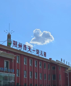 沈阳市和平鸽幼儿园