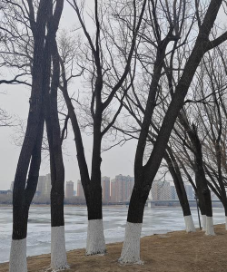 吉林市昌邑区新地号街英杰幼儿园