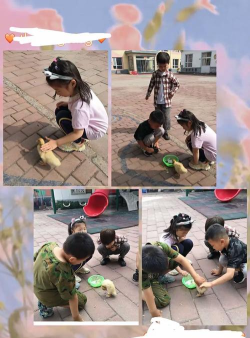 北京市丰台区看丹村中心幼儿园