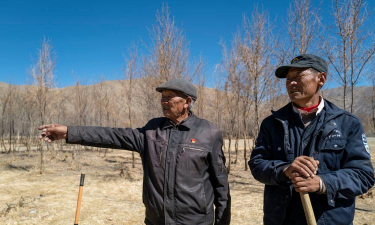 隆子镇新巴完小