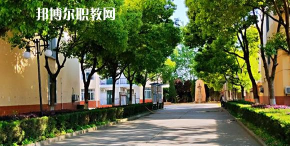 合肥飞跃学校