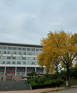 鲁东大学