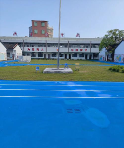 东莞东坑德才小学