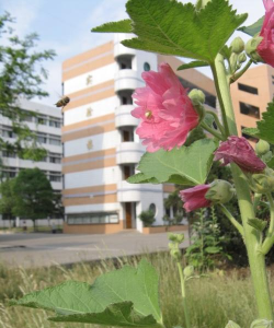 襄阳襄州区第二高级中学