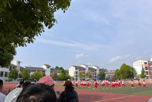 湖南省常德市汉寿县东岳庙乡高岩村小学