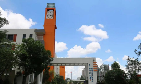 深圳华南师大附属龙岗大运学校