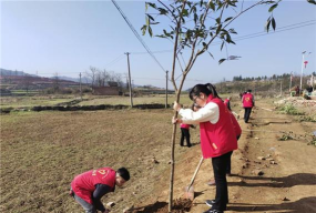 邵阳县诸甲亭乡完全中心小学