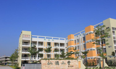 佛山市顺德区陈村镇仙涌小学