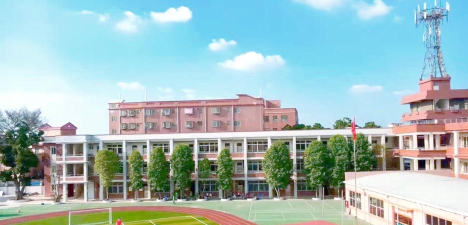 佛山市顺德区乐从颖林水藤学校