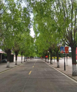 朔州市平鲁区平鲁三中