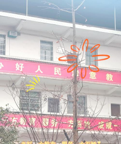 阳新县龙港镇列宁完全小学