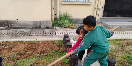 屏锦镇柏树村幼儿园