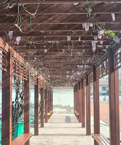 平乡县紫藤花艺术培训学校