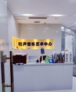 凤城市美韵金声音乐培训有限公司