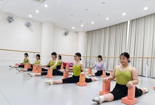 东方市天使艺术舞蹈培训学校有限公司