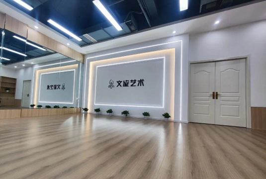 重庆星象艺术培训有限公司