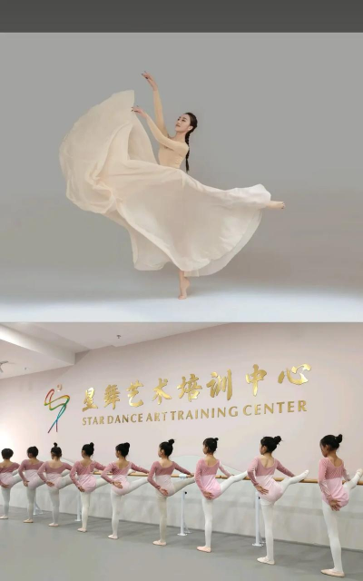 阳新县星辰艺术培训有限公司