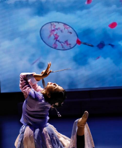 将乐县心舞艺术培训有限公司